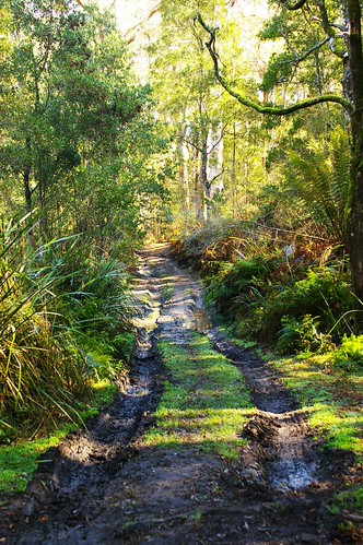 dirt road