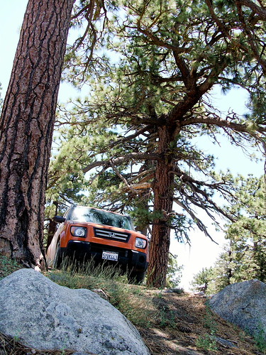 Jeep in the Backcountry