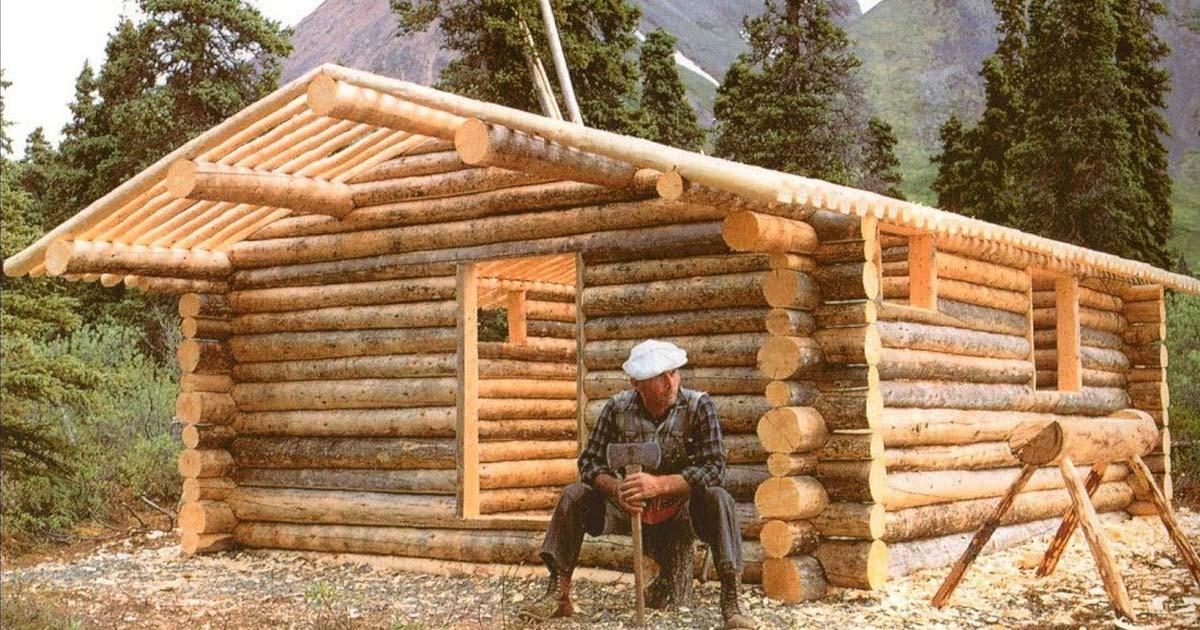 Alone in the Wilderness