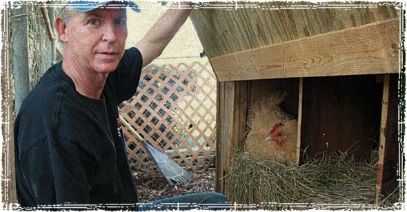 The Chicken Man