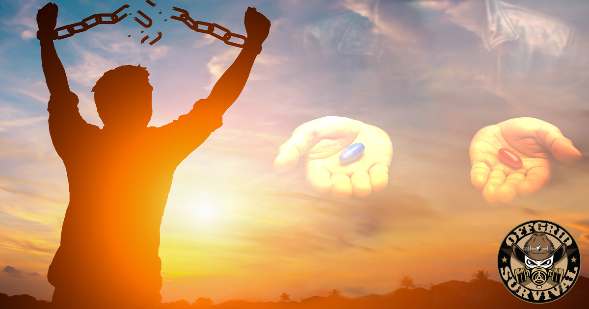 Breaking Free From the System