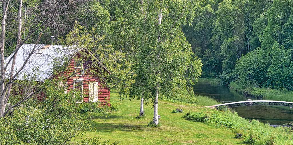 Bugout Cabin in the woods