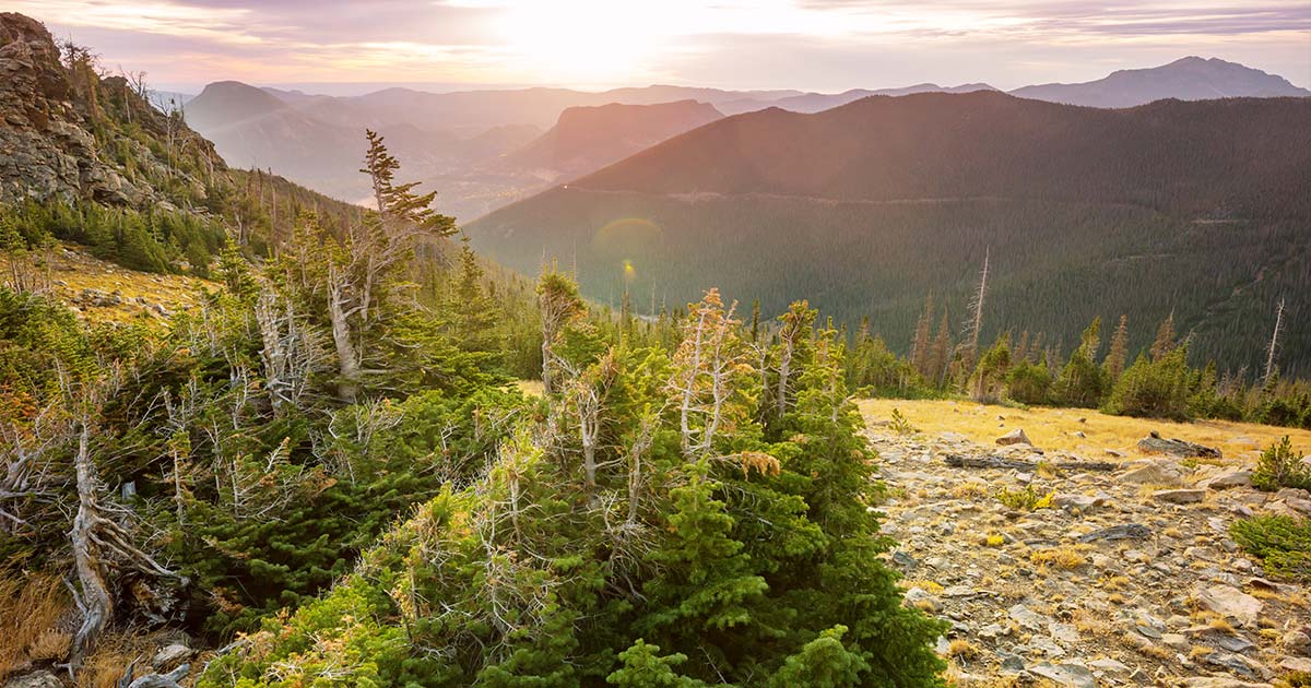 The Continental Divide Trail
