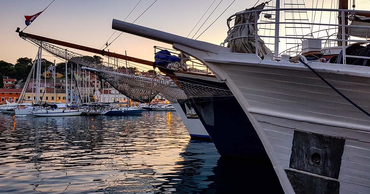 Boats Docked in a Marina