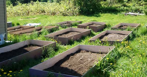 Garden Area in Boxes