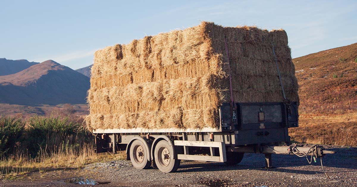 Bales of straw