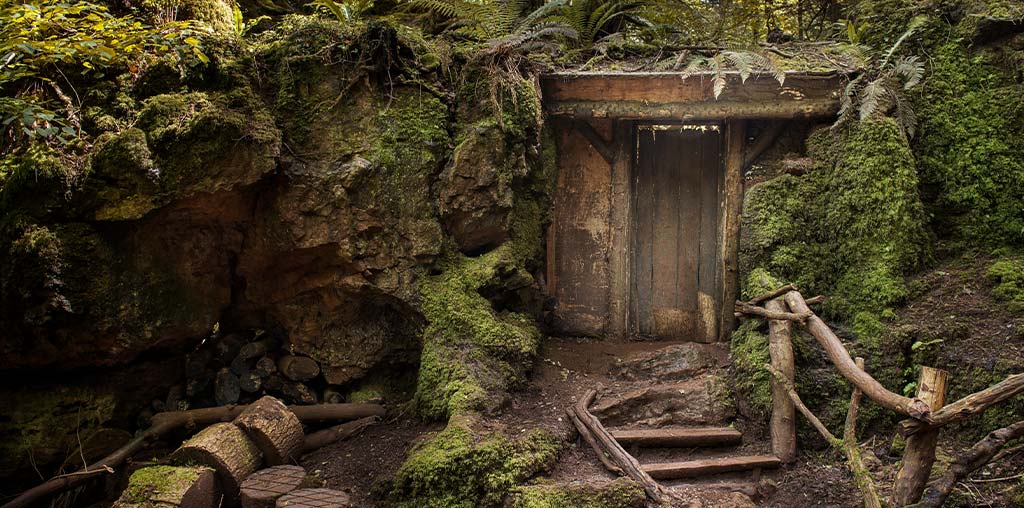 A hidden home