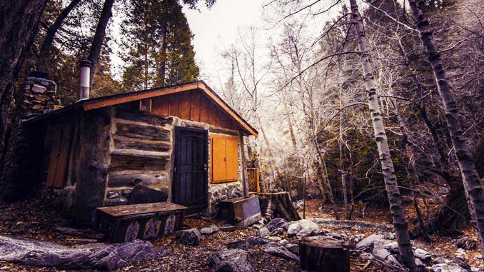 Offgrid Home in the Forest