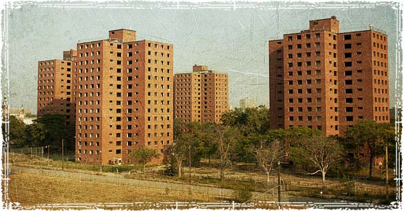 The New American Projects