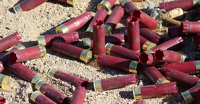 Shotgun Shells