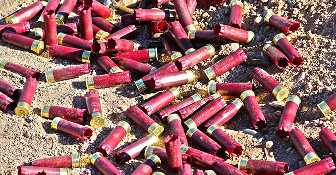 Shotgun shells