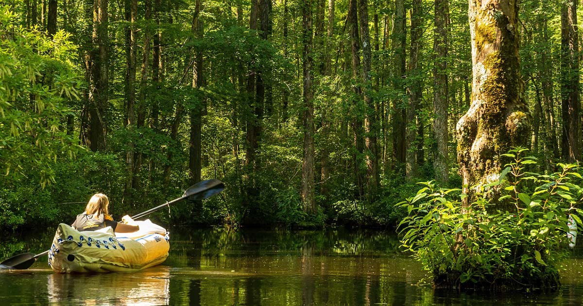 kayak swamp