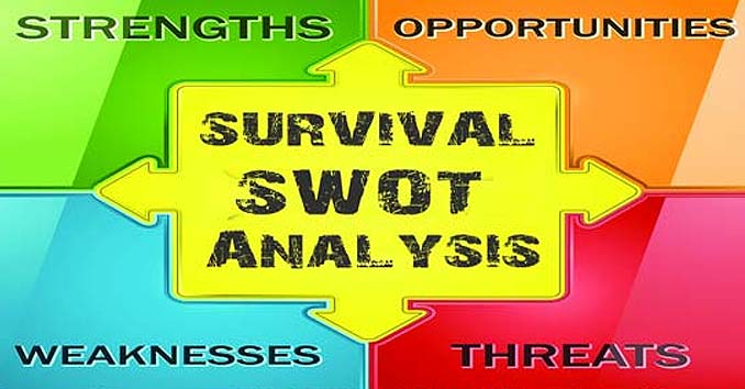Survival SWOT Analysis