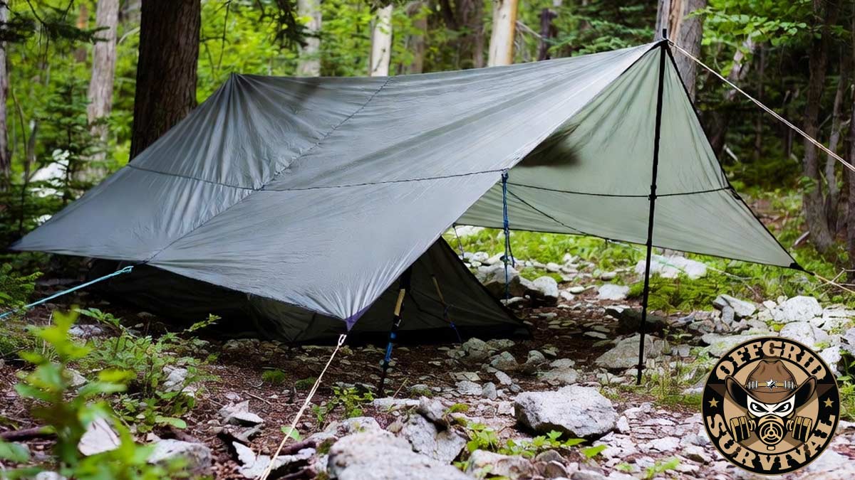 Tarp Shelter