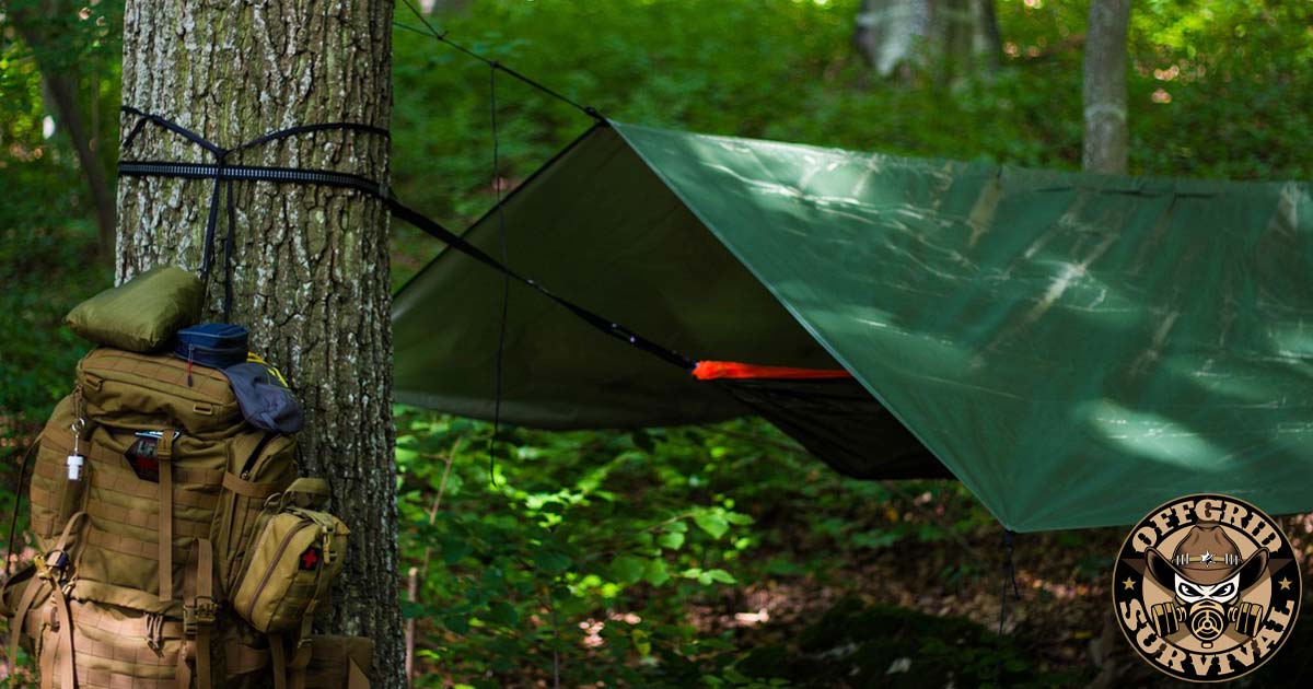 Tarp Shelter