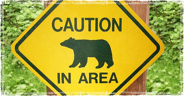 Bear Country Trail Warning Sign